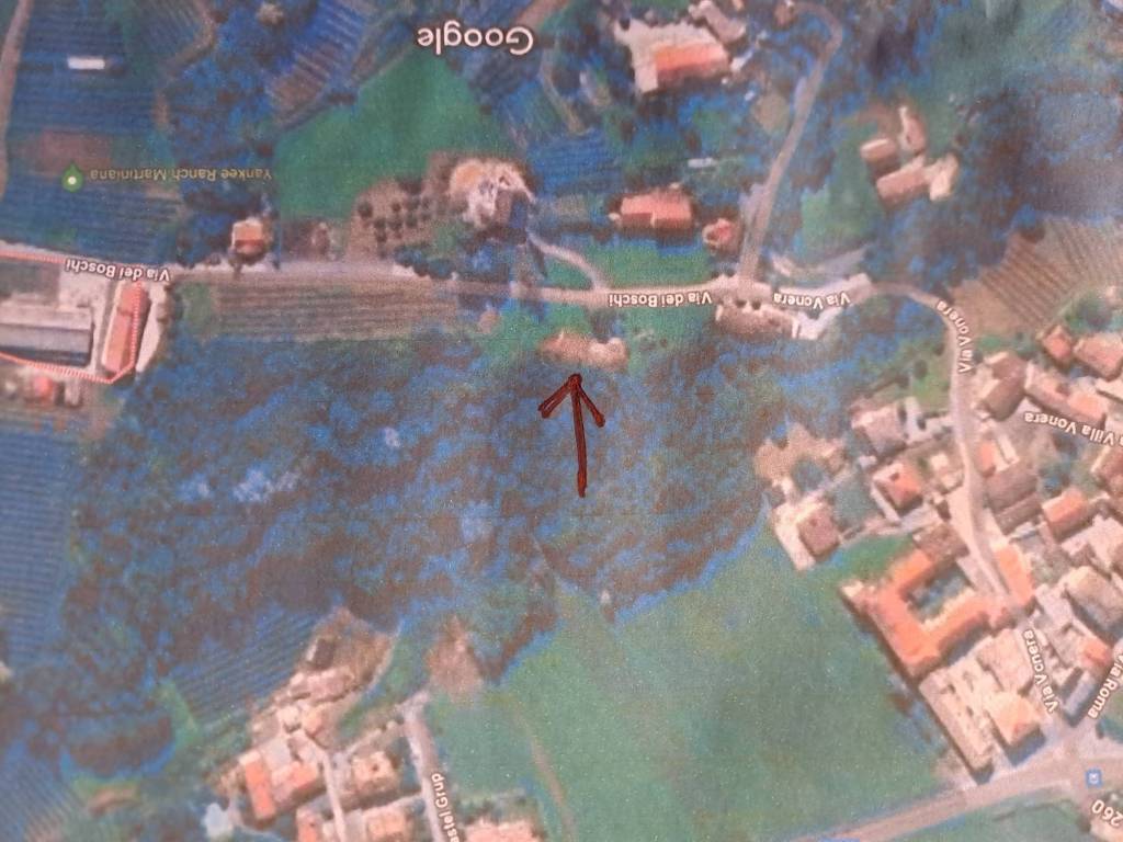 Rustico / casale a Martiniana po - Foto 5