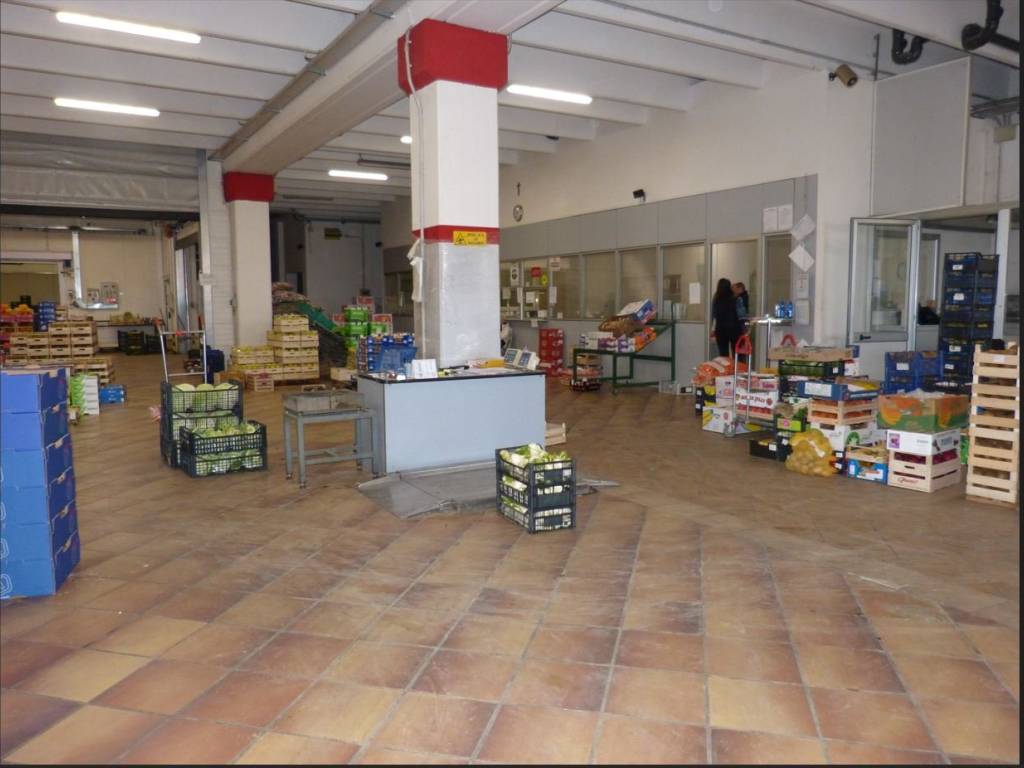 Immobile a Fossano in Viale Regina Elena - Foto 4