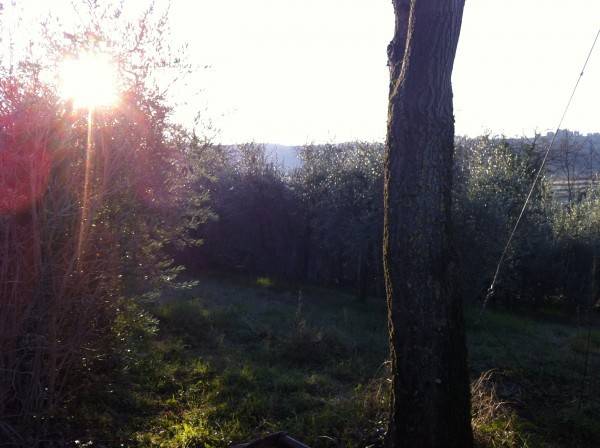 Rustico / casale a Città della pieve in Vocabolo Poggio San Litardo - Foto 2