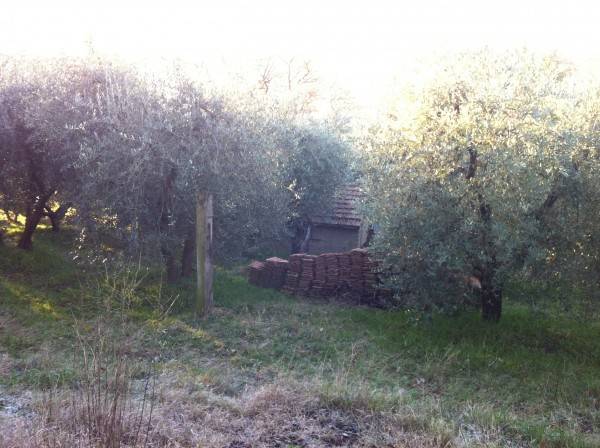 Rustico / casale a Città della pieve in Vocabolo Poggio San Litardo - Foto 4