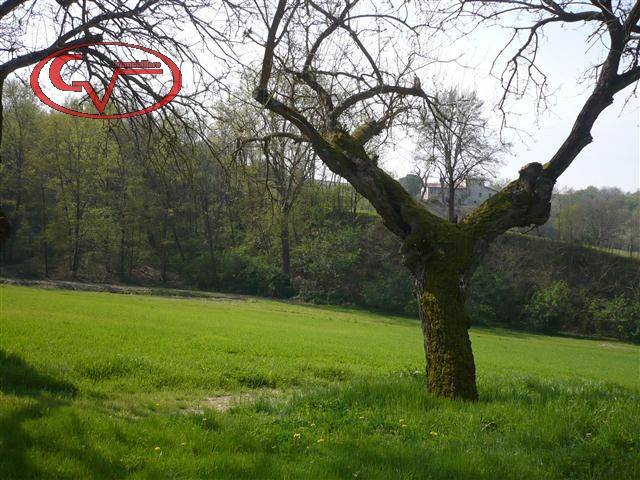 Rustico / casale a San giovanni valdarno in Via Europa - Foto 4