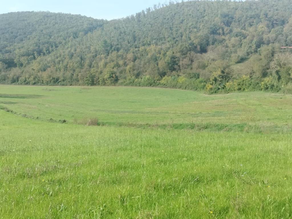 Rustico / casale a Colli sul velino in Località Colle Rosso - Foto 5