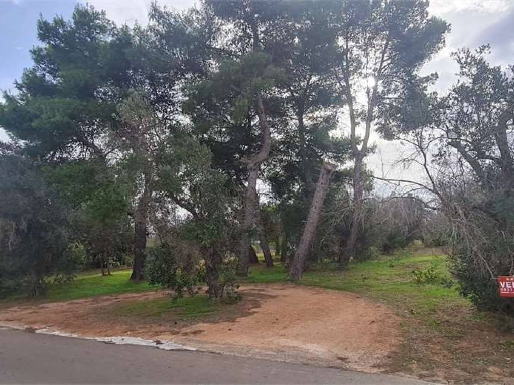 Terreno a Collepasso in via Omero - Foto 2