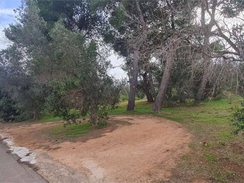 Terreno a Collepasso in via Omero - Foto 3
