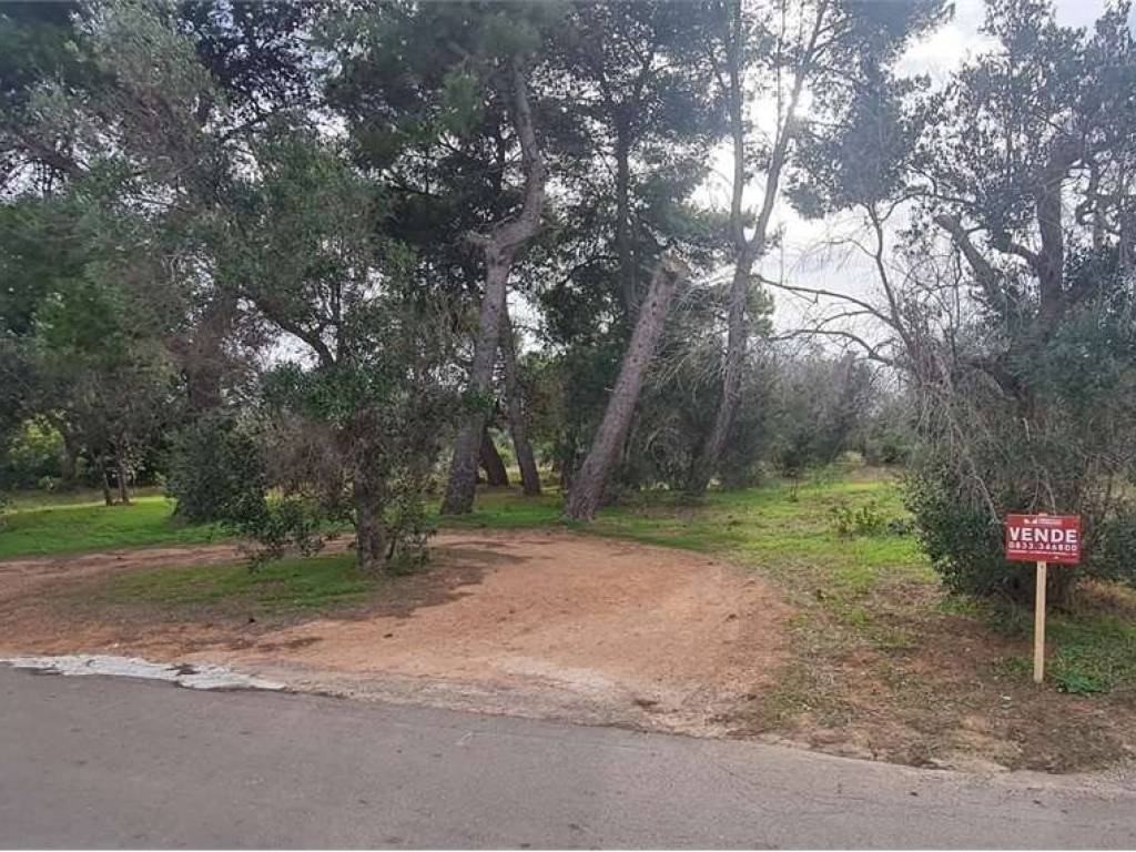 Terreno a Collepasso in via Omero - Foto 4