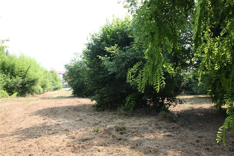 Terreno a Azzano decimo in Via Runchie - Foto 3