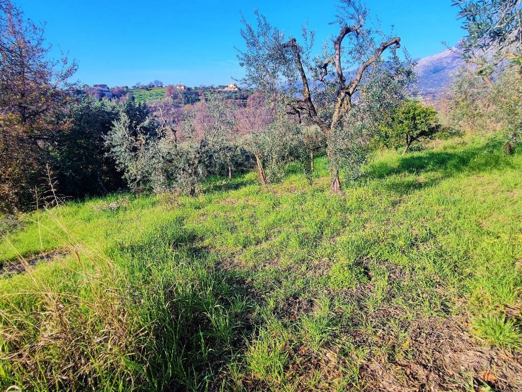 Terreno a Minturno in Via Luigi Cadorna - Foto 2