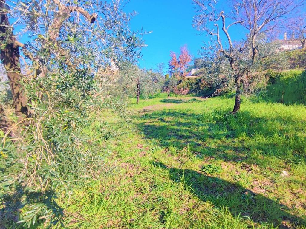 Terreno a Minturno in Via Luigi Cadorna - Foto 3