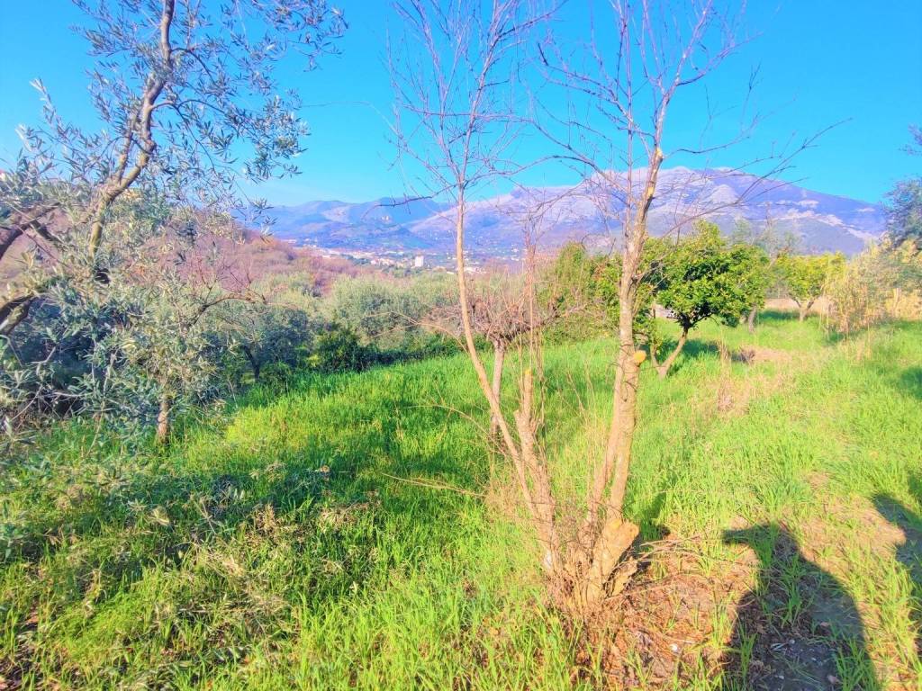 Terreno a Minturno in Via Luigi Cadorna - Foto 4