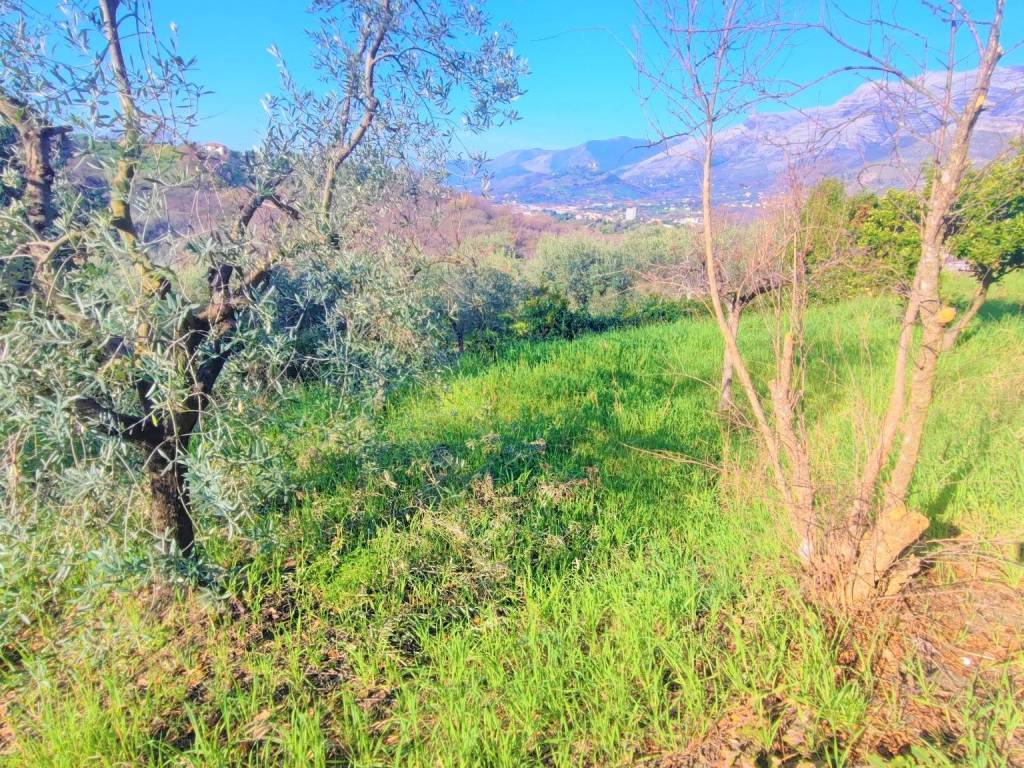 Terreno a Minturno in Via Luigi Cadorna - Foto 5