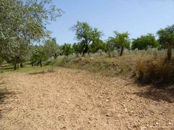 Terreno a Noto in NOTO - Foto 2