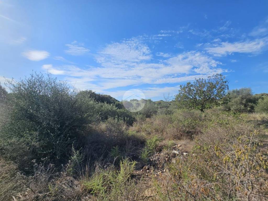 Terreno a Quartucciu in Via delle orchiedee - Foto 2