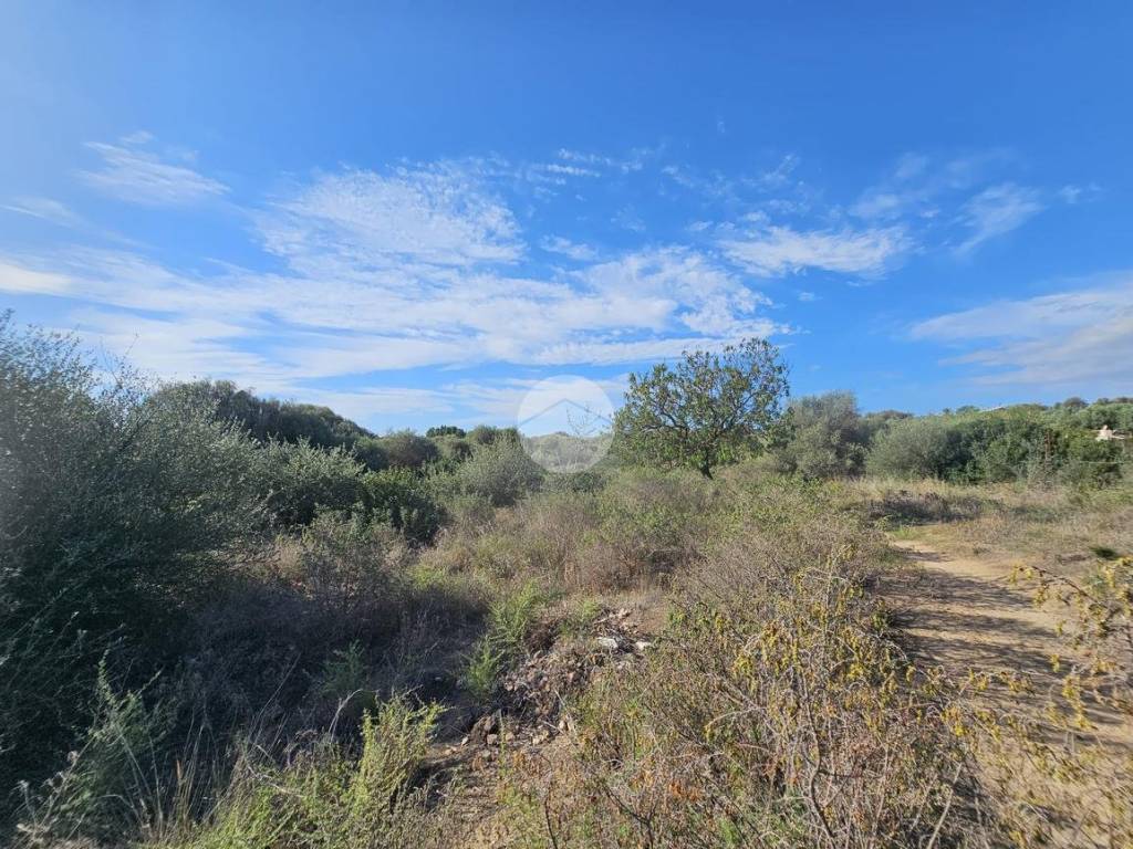 Terreno a Quartucciu in Via delle orchiedee - Foto 3