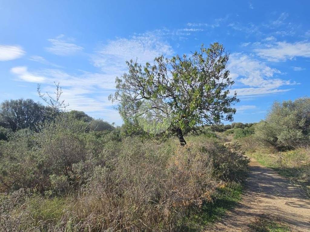 Terreno a Quartucciu in Via delle orchiedee - Foto 4