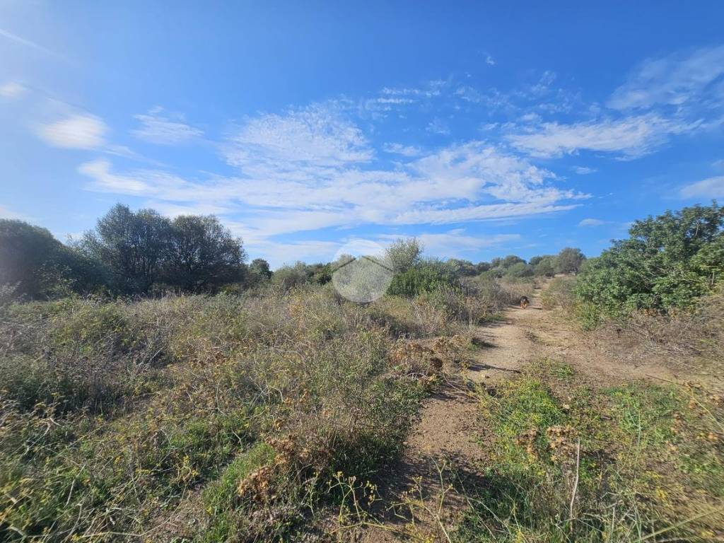 Terreno a Quartucciu in Via delle orchiedee - Foto 5