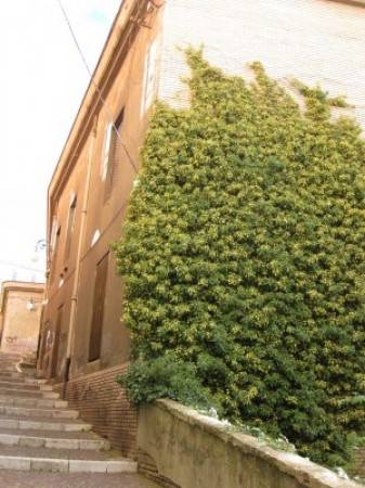 Immobile a Potenza in Corso Giuseppe Garibaldi - Foto 4