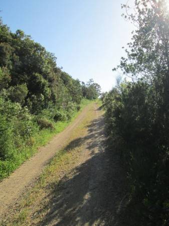 Terreno a Capoliveri in Località Morcone - Foto 2