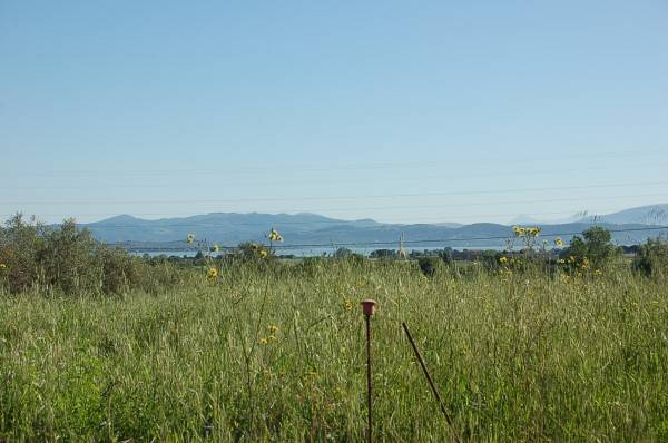 Terreno a Castiglione del lago in Via San Maria, 125 - Foto 4