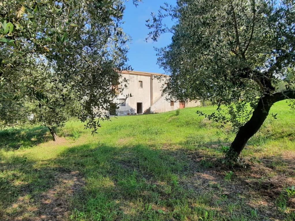 Casa indipendente a Sant'agata de' goti in Piazza Trieste - Foto 3