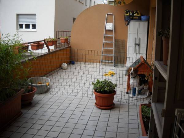 Appartamento a Folignano in Piazza Costantino Rozzi - Foto 5