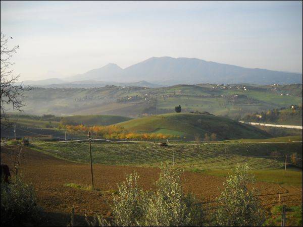 Rustico / casale a Castel di lama in Strada Provinciale 43 - Foto 4