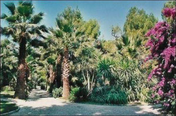 Villa a Ascoli piceno in Via dei Meli - Foto 5