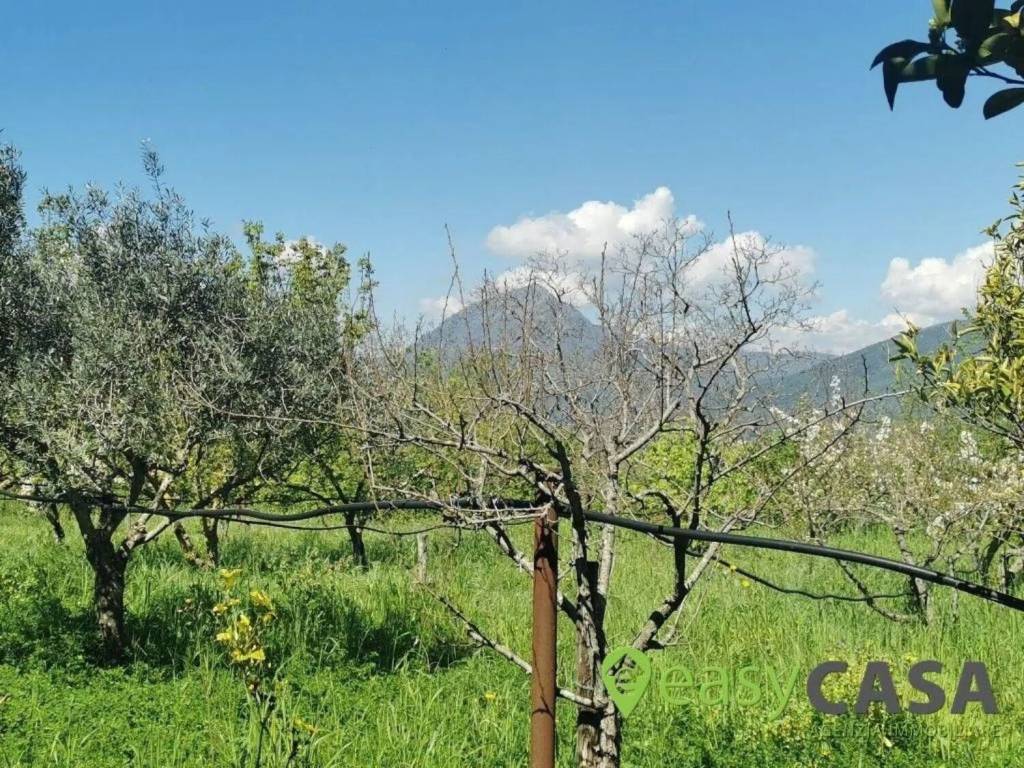 Terreno a Montecorvino rovella in Strada Comunale Canala Occiano S.N.C. - Foto 5