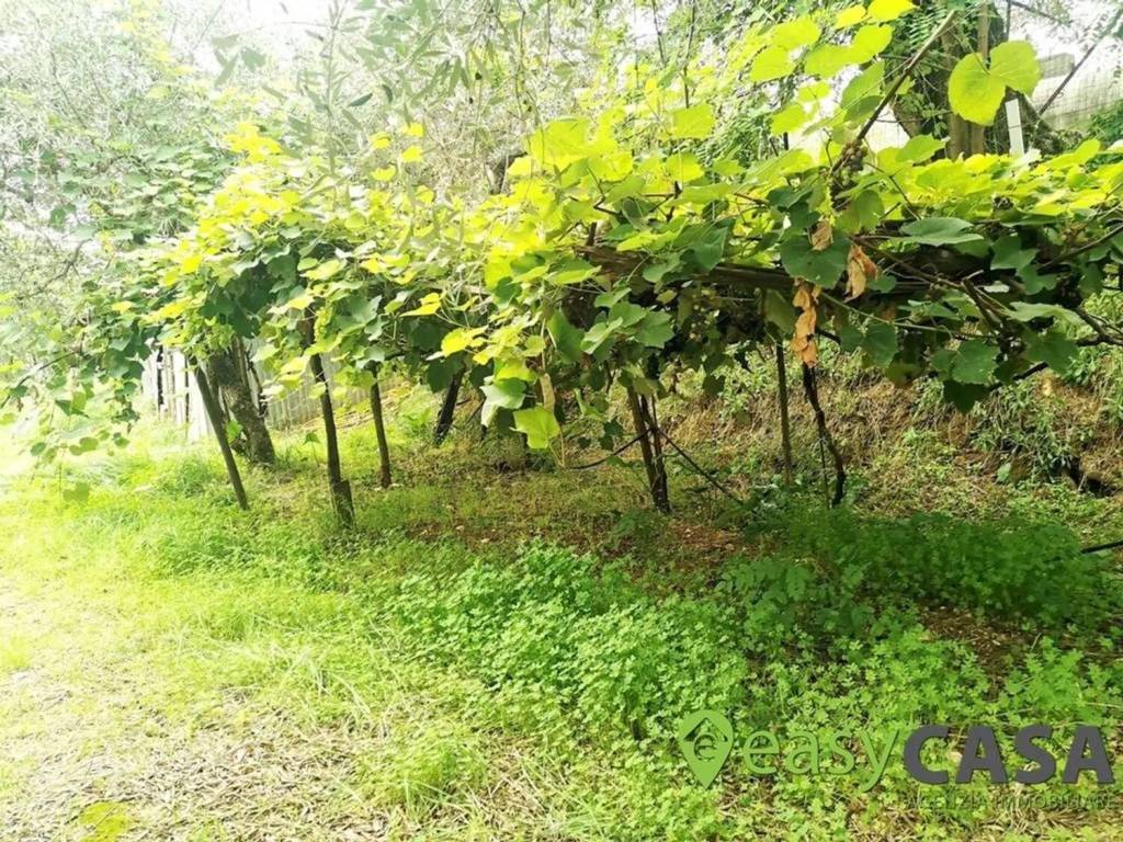 Terreno a Montecorvino rovella in Via Carmine Maiorini, 17 - Foto 2