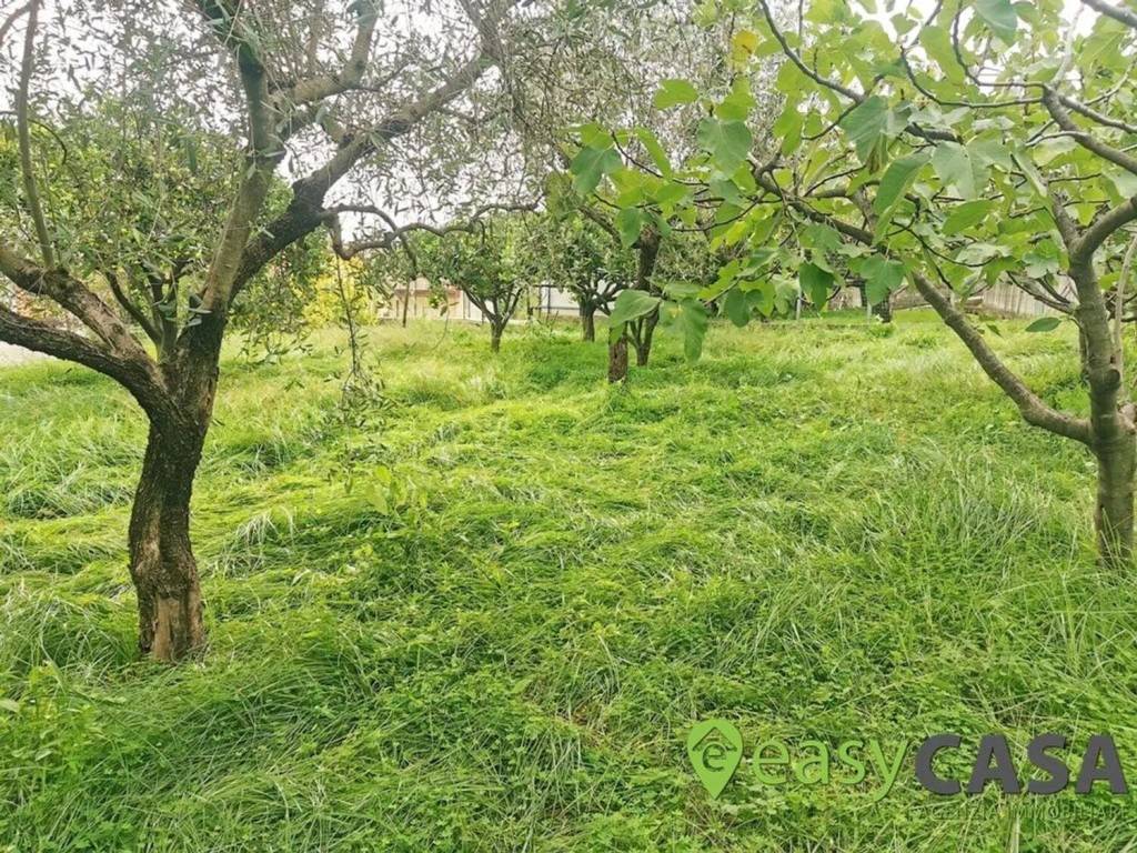 Terreno a Montecorvino rovella in Via Carmine Maiorini, 17 - Foto 4