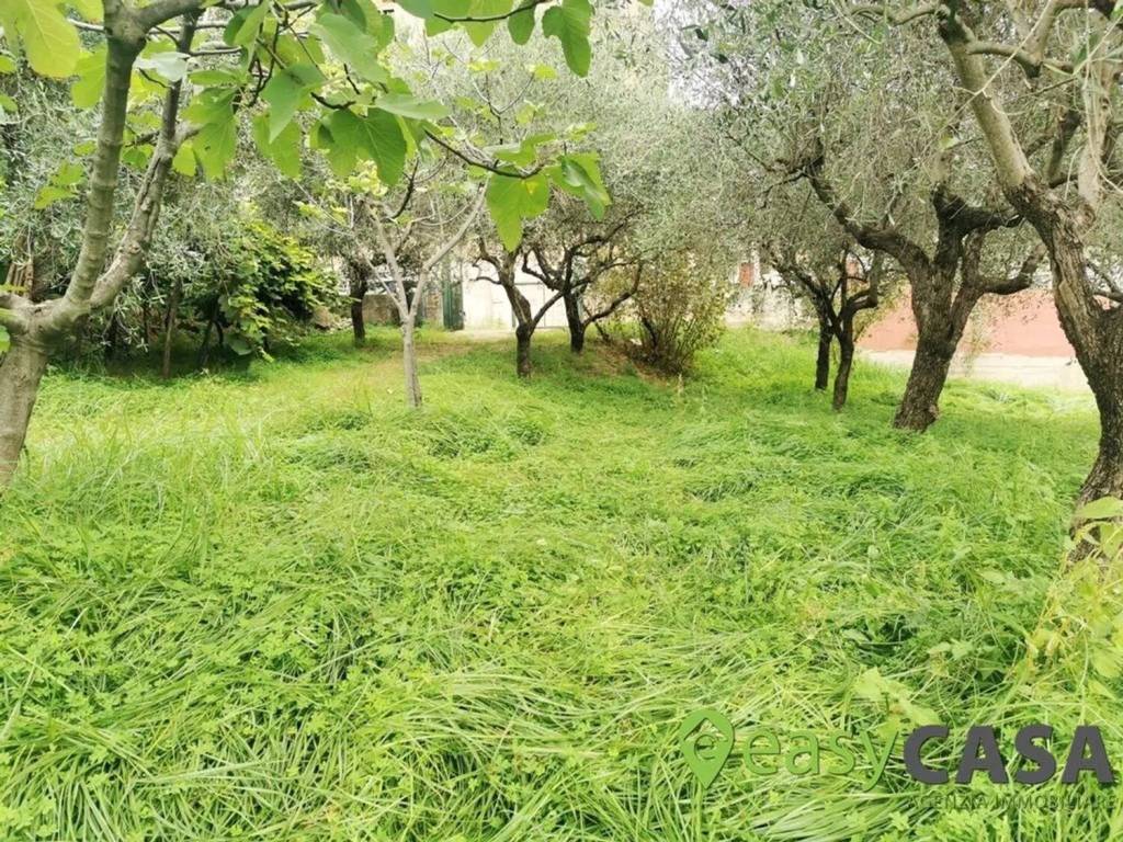 Terreno a Montecorvino rovella in Via Carmine Maiorini, 17 - Foto 5