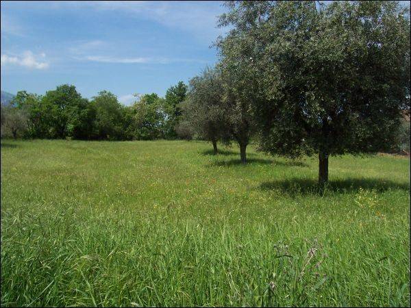 Terreno a Sant'egidio alla vibrata in Piazza Marchesa - Foto 3