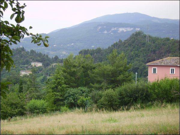 Rustico / casale a Ascoli piceno in Via Francesco Ciotti, 113 - Foto 3