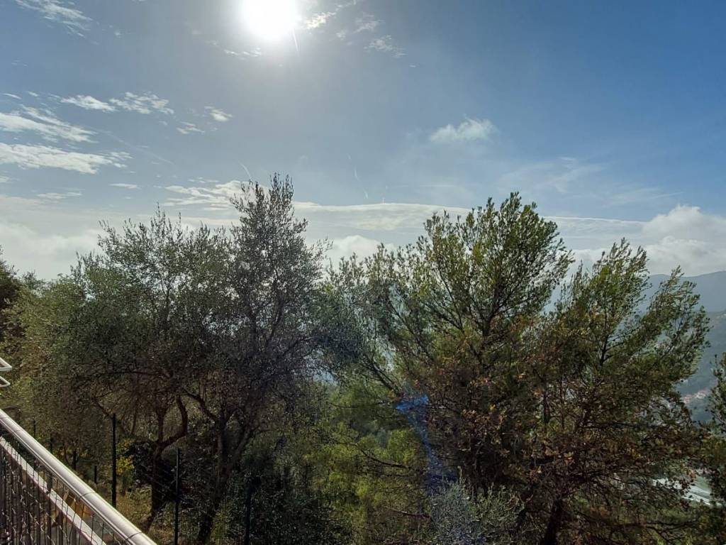 Villa a Vallebona in Strada Mergai - Foto 4