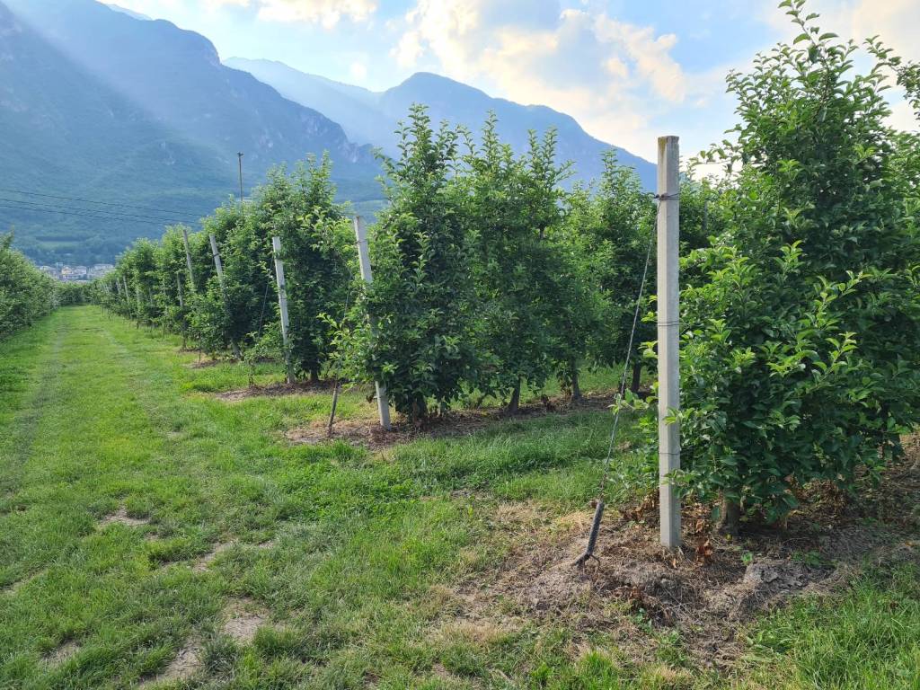 Terreno a Trento in Via delle Ischie - Foto 3
