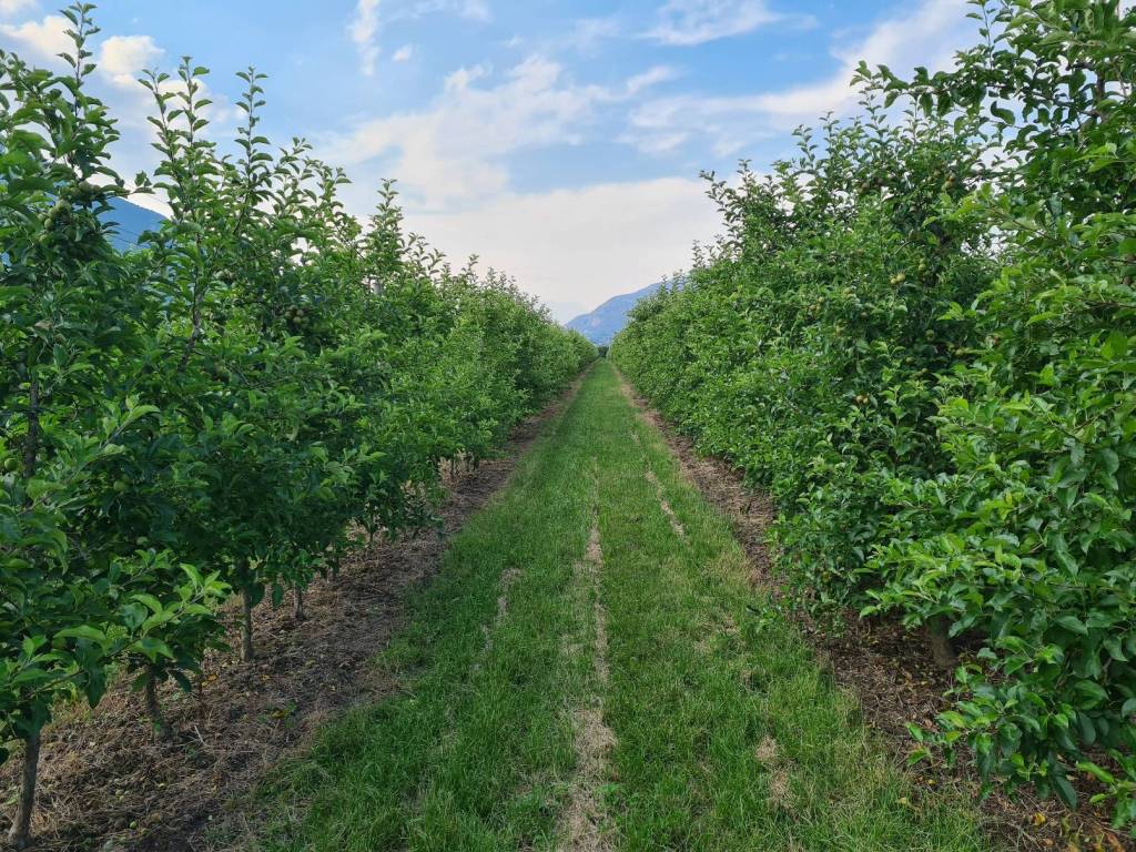 Terreno a Trento in Via delle Ischie - Foto 4