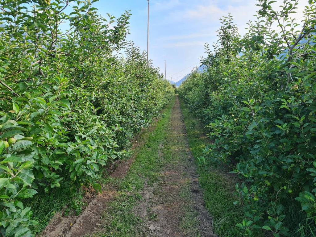 Terreno a Trento in Via delle Ischie - Foto 5
