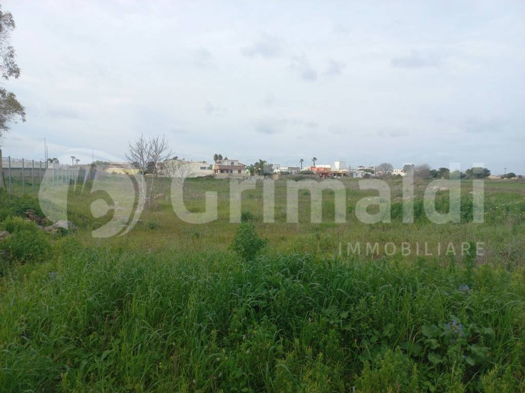 Terreno a Ugento in Via E. Petrella, 1 - Foto 3