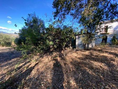Rustico / casale a Castel frentano in Porrechi - Foto 3