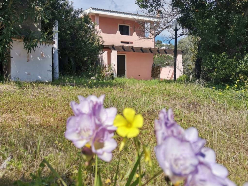 Villa a Pula in sa murta bianca - Foto 3