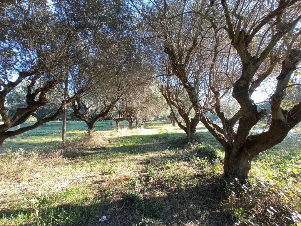 Rustico / casale a Martinsicuro in VIA ROMA - Foto 4