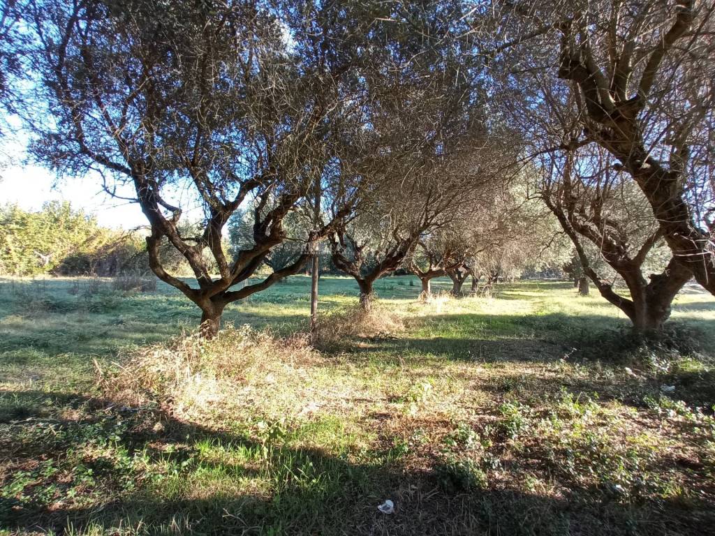 Rustico / casale a Martinsicuro in VIA ROMA - Foto 5