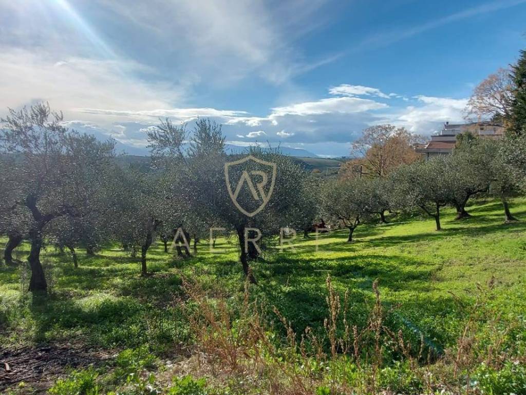 Terreno a Pianella in Strada Vicinale Granaro, 38 - Foto 2
