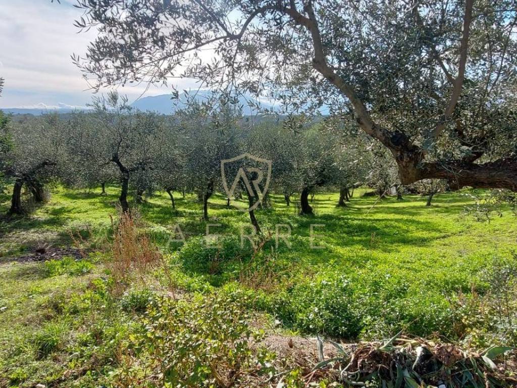 Terreno a Pianella in Strada Vicinale Granaro, 38 - Foto 3