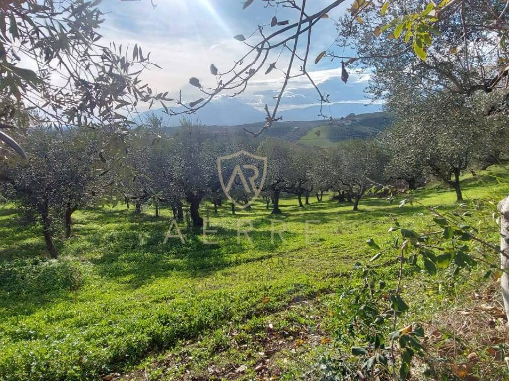 Terreno a Pianella in Strada Vicinale Granaro, 38 - Foto 4