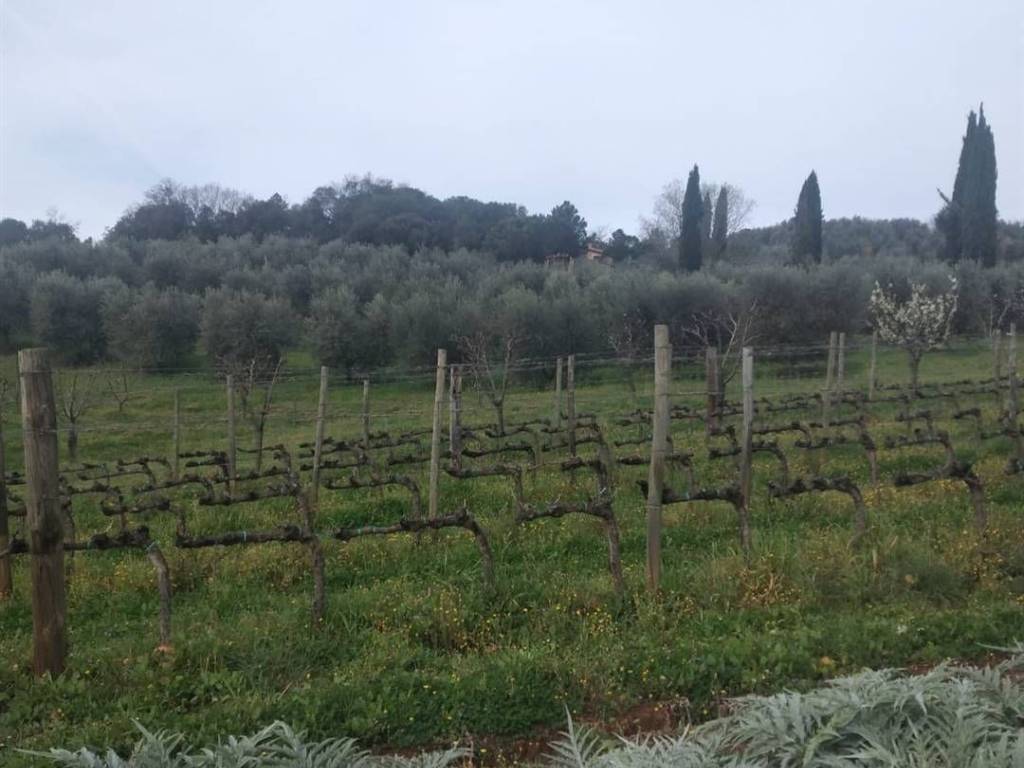 Villa a Roccastrada - Foto 3