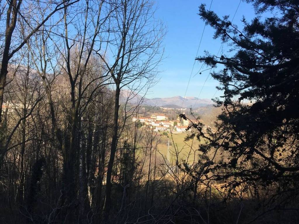 Villa a Muzzano in Via Gastaldetti S.N.C. - Foto 3