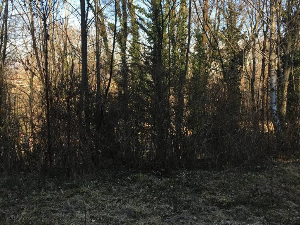 Villa a Muzzano in Via Gastaldetti S.N.C. - Foto 5