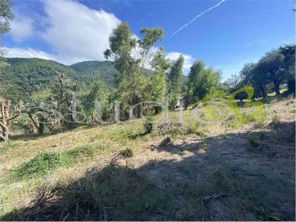 Terreno a Seborga in Via Antico Principato, snc - Foto 3