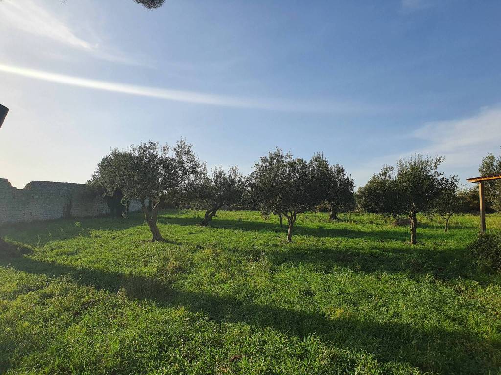 Rustico / casale a Modica - Foto 4
