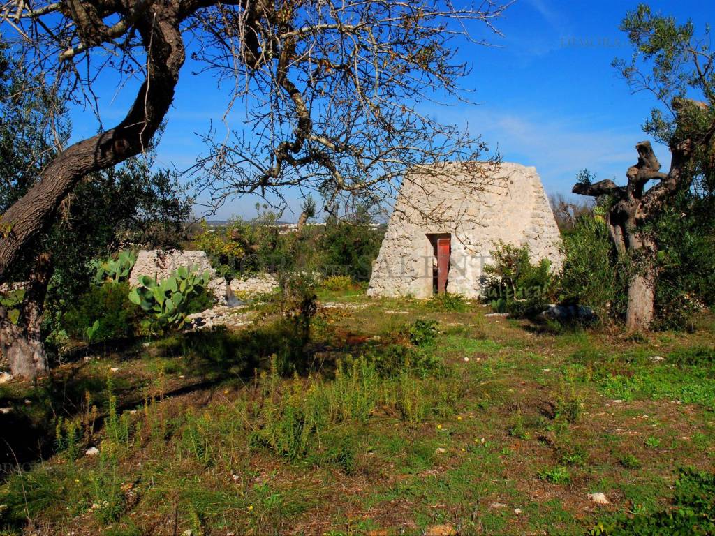 Terreno a Castrignano del capo in Strada Vicinale Terra Lacco - Foto 4